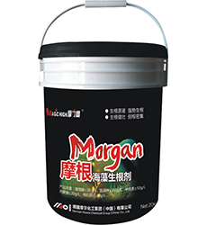 Ħ������������